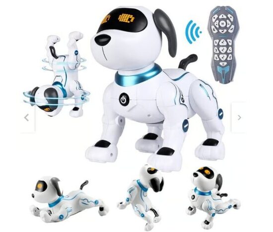 Radijo bangomis valdomas šuo robotas RC robot dog